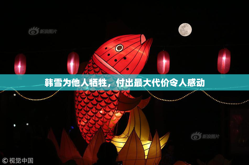 韩雪为他人牺牲，付出最大代价令人感动