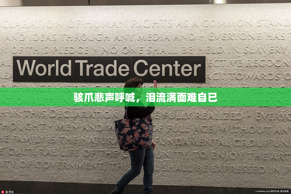 骇爪悲声呼喊，泪流满面难自已