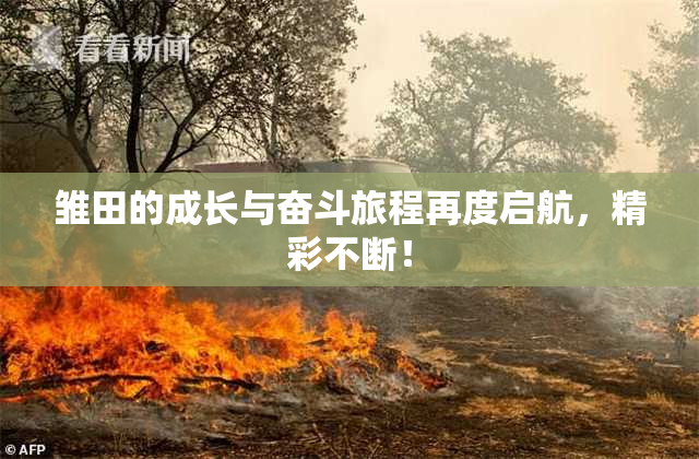雏田的成长与奋斗旅程再度启航，精彩不断！