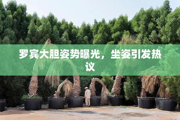 罗宾大胆姿势曝光，坐姿引发热议