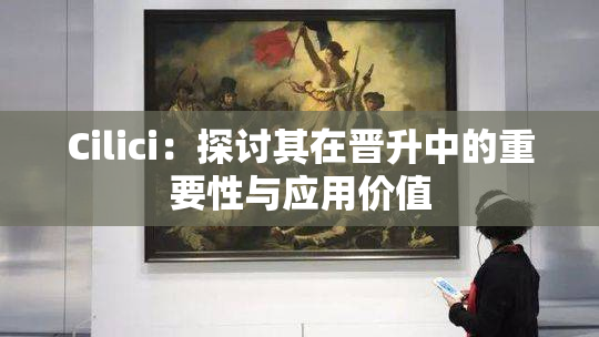 Cilici：探讨其在晋升中的重要性与应用价值