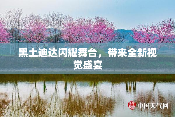 黑土迪达闪耀舞台，带来全新视觉盛宴