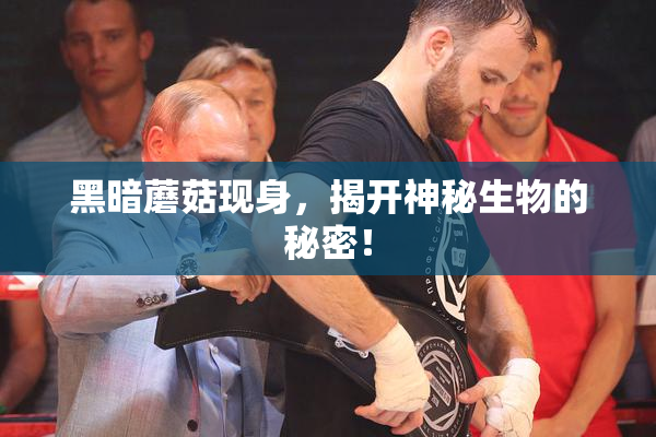 黑暗蘑菇现身，揭开神秘生物的秘密！