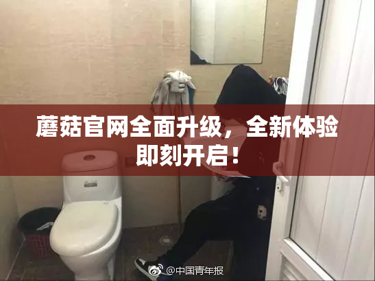 蘑菇官网全面升级，全新体验即刻开启！