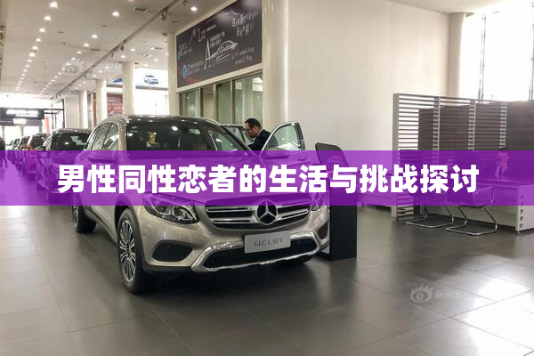 男性同性恋者的生活与挑战探讨