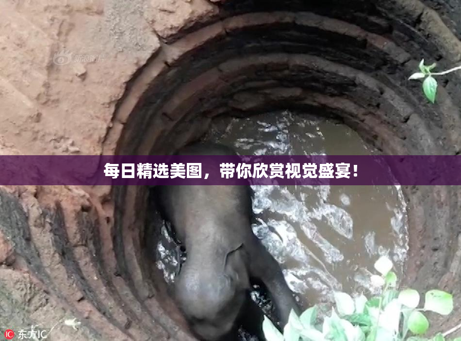 每日精选美图，带你欣赏视觉盛宴！