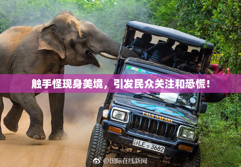 触手怪现身美境，引发民众关注和恐慌！