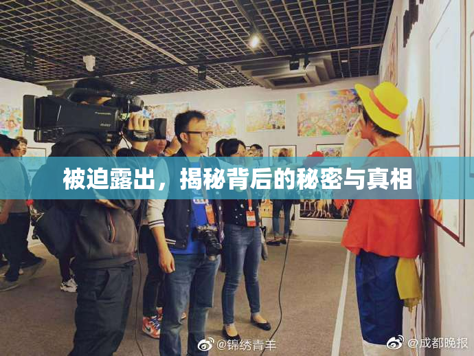 被迫露出，揭秘背后的秘密与真相