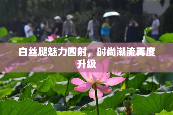 白丝腿魅力四射，时尚潮流再度升级