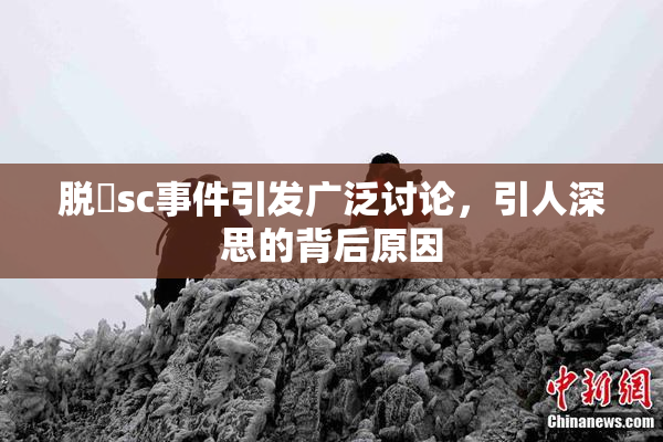 脱糞sc事件引发广泛讨论，引人深思的背后原因