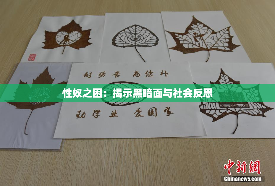 性奴之困：揭示黑暗面与社会反思