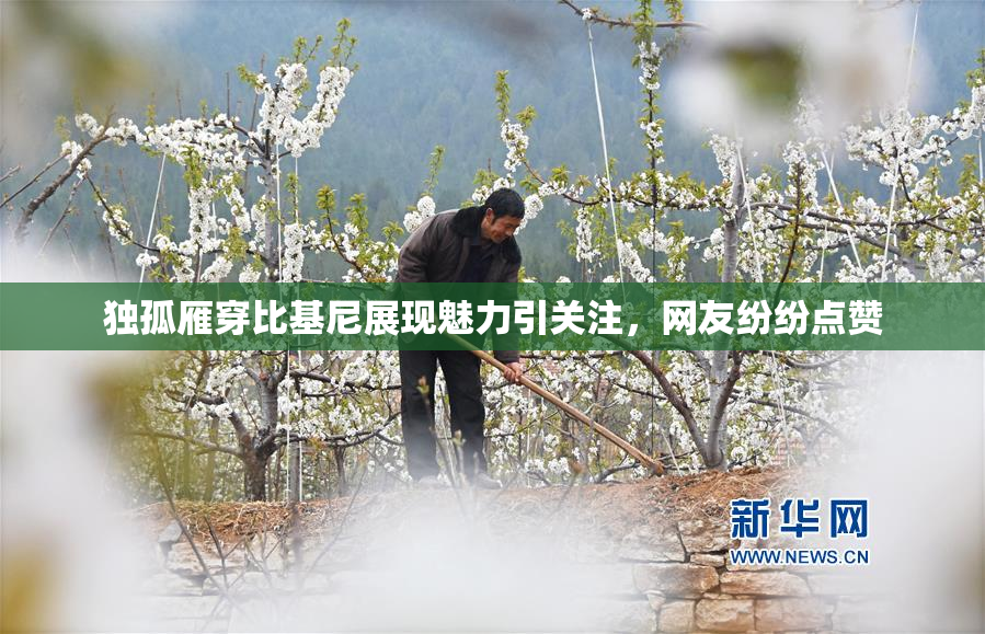 独孤雁穿比基尼展现魅力引关注，网友纷纷点赞