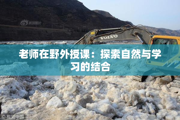 老师在野外授课：探索自然与学习的结合