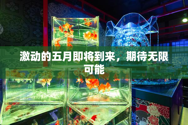 激动的五月即将到来，期待无限可能