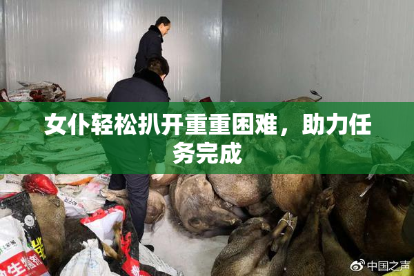 女仆轻松扒开重重困难，助力任务完成