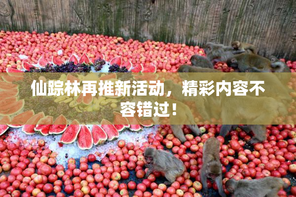 仙踪林再推新活动，精彩内容不容错过！