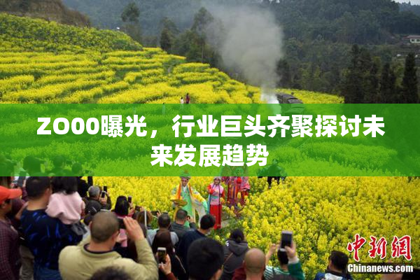 ZO00曝光，行业巨头齐聚探讨未来发展趋势