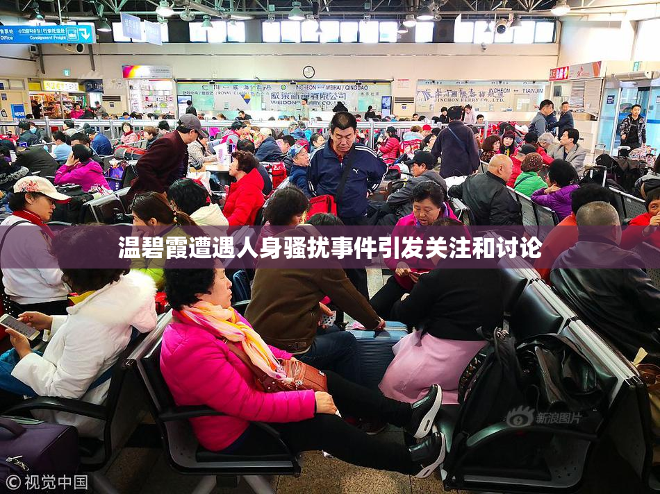 温碧霞遭遇人身骚扰事件引发关注和讨论