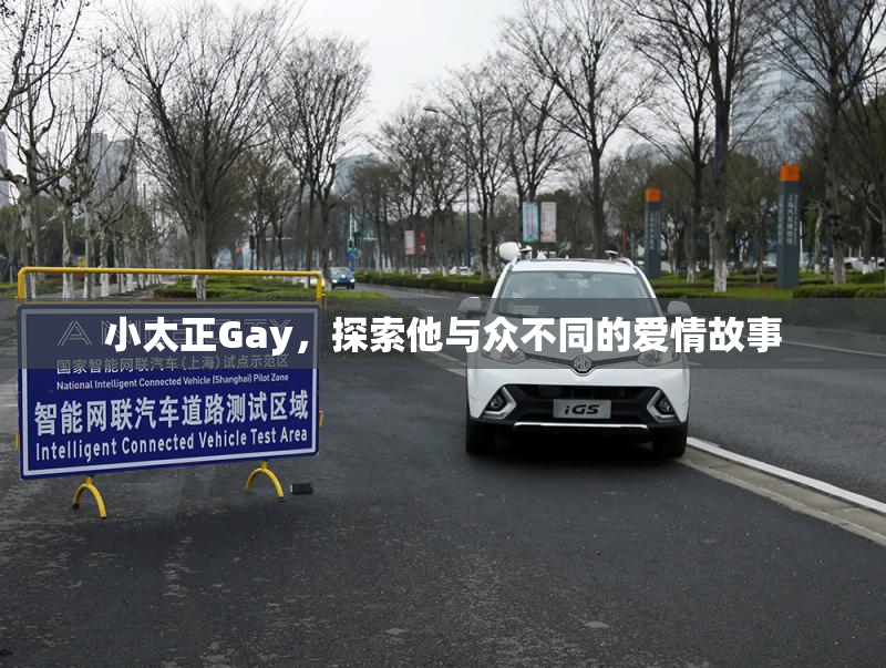 小太正Gay，探索他与众不同的爱情故事
