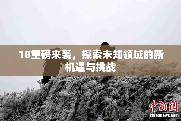 18重磅来袭，探索未知领域的新机遇与挑战