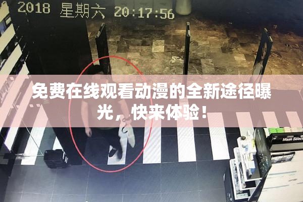 免费在线观看动漫的全新途径曝光，快来体验！