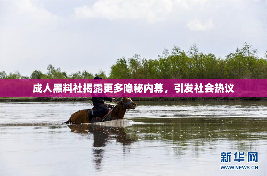 成人黑料社揭露更多隐秘内幕，引发社会热议