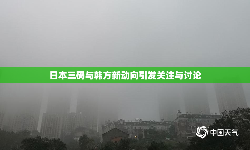 日本三码与韩方新动向引发关注与讨论