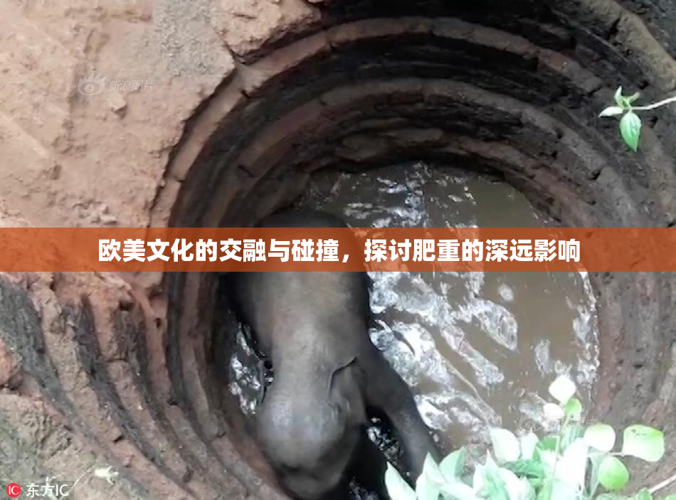 欧美文化的交融与碰撞，探讨肥重的深远影响