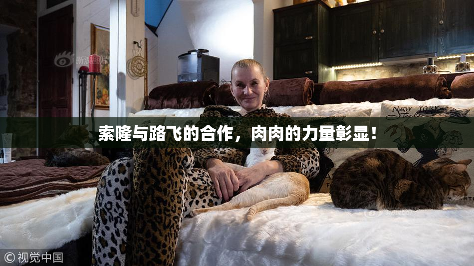 索隆与路飞的合作，肉肉的力量彰显！