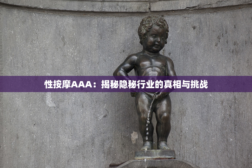 性按摩AAA：揭秘隐秘行业的真相与挑战