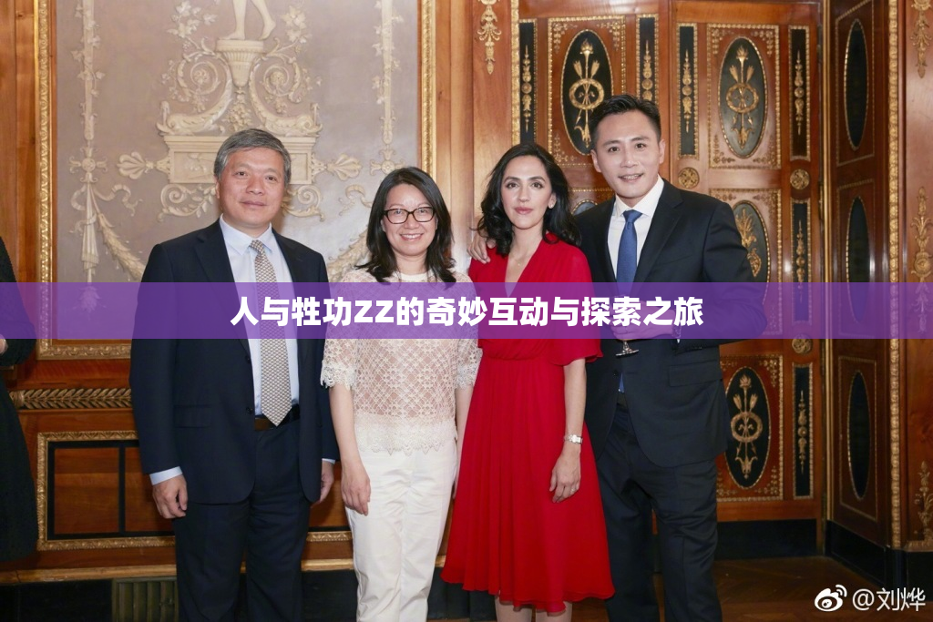 人与牲功ZZ的奇妙互动与探索之旅