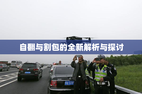 自翻与割包的全新解析与探讨