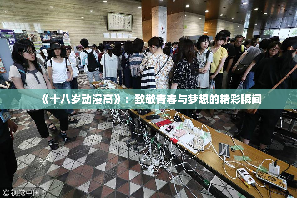 《十八岁动漫高》：致敬青春与梦想的精彩瞬间