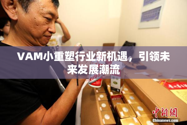 VAM小重塑行业新机遇，引领未来发展潮流
