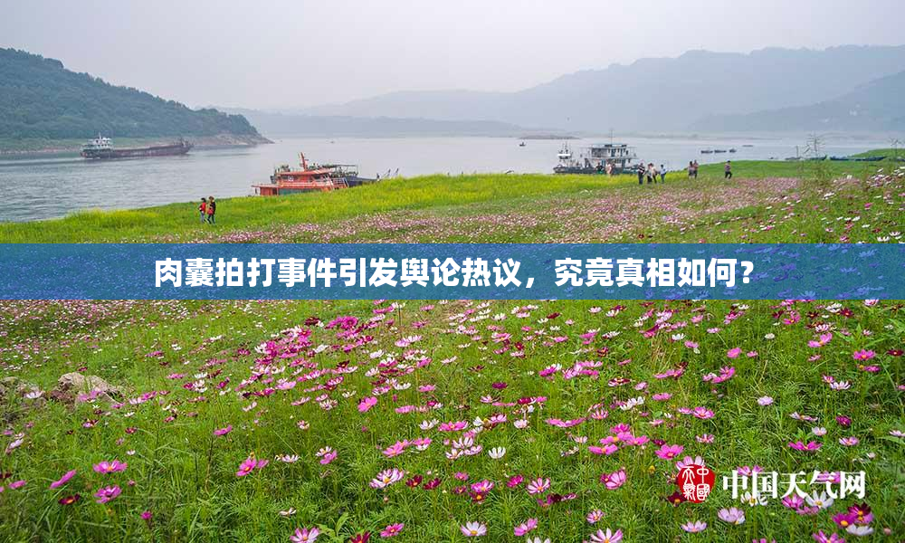 肉囊拍打事件引发舆论热议，究竟真相如何？