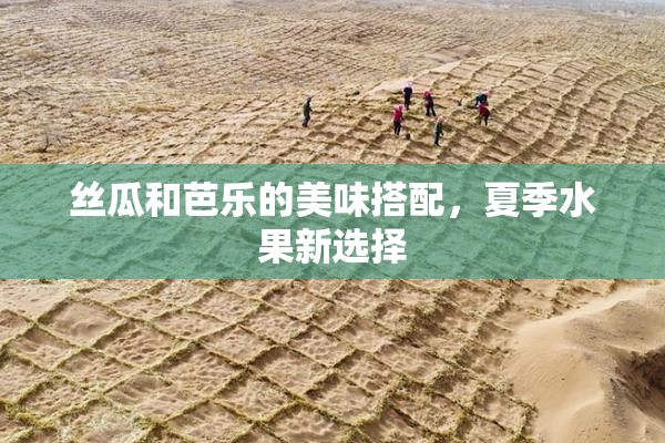丝瓜和芭乐的美味搭配，夏季水果新选择