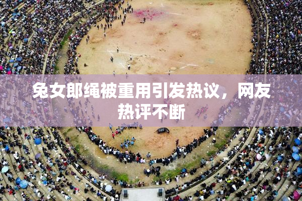 兔女郎绳被重用引发热议，网友热评不断