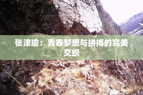 张津瑜：青春梦想与拼搏的完美交织