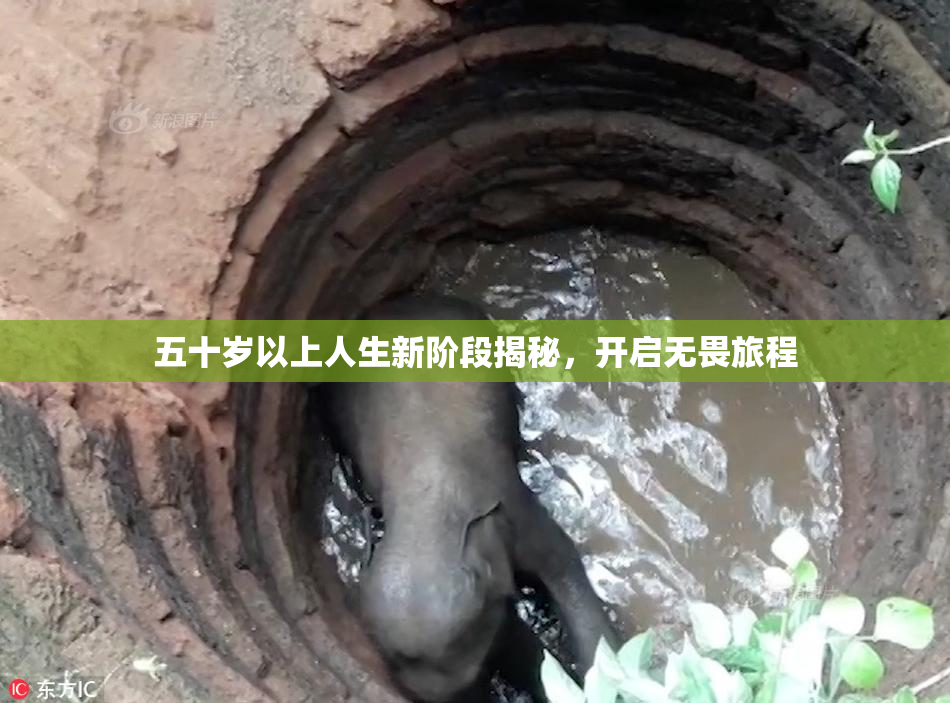 五十岁以上人生新阶段揭秘，开启无畏旅程