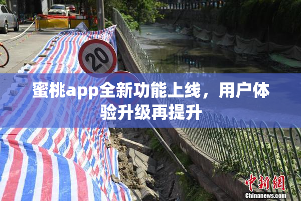 蜜桃app全新功能上线，用户体验升级再提升
