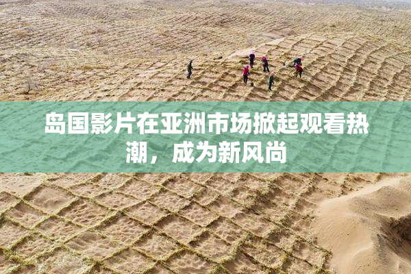 岛国影片在亚洲市场掀起观看热潮，成为新风尚