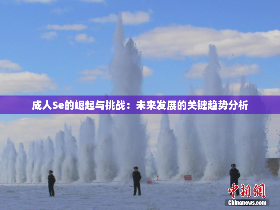 成人Se的崛起与挑战：未来发展的关键趋势分析