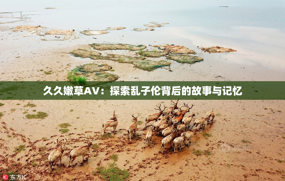 久久嫩草AV：探索乱子伦背后的故事与记忆