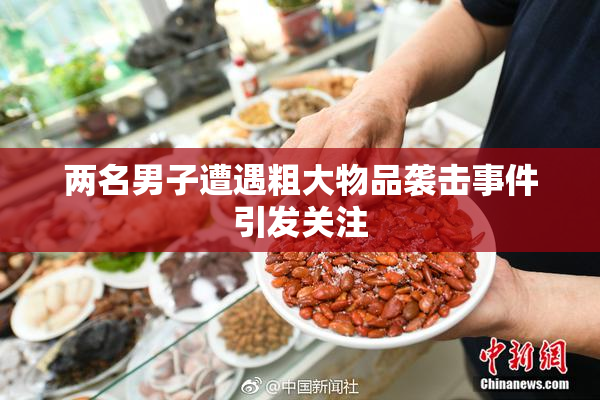 两名男子遭遇粗大物品袭击事件引发关注