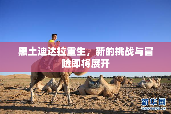 黑土迪达拉重生，新的挑战与冒险即将展开