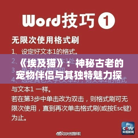 《埃及猫》：神秘古老的宠物伴侣与其独特魅力探寻之旅