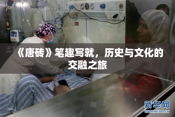《唐砖》笔趣写就，历史与文化的交融之旅