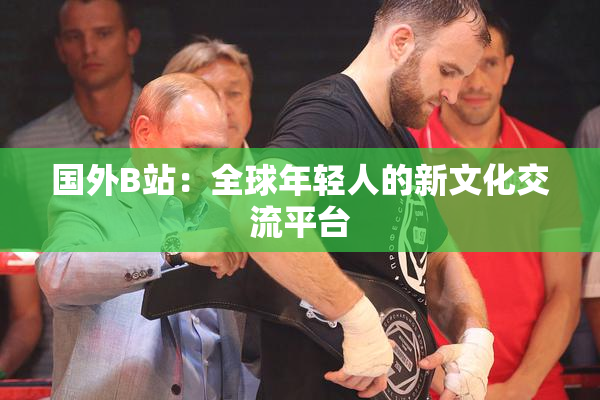 国外B站：全球年轻人的新文化交流平台