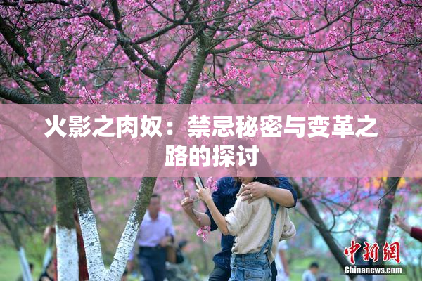 火影之肉奴：禁忌秘密与变革之路的探讨