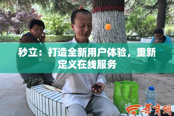 秒立：打造全新用户体验，重新定义在线服务